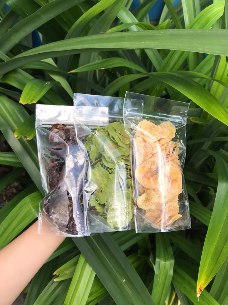 Keripik Pisang Matcha 100gr