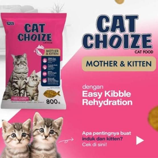 Cat choize mother kitten